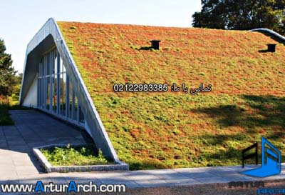 green roof